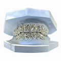 Customize Your Diamond Dust Starburst Cut Grill