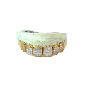 Princess Cut with Zig Zag Fangs